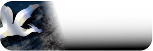 Faasnu
