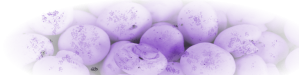 Aca Fungal Steam